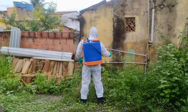 Dengue na Bahia: Sesab confirma 23ª morte por dengue no Estado