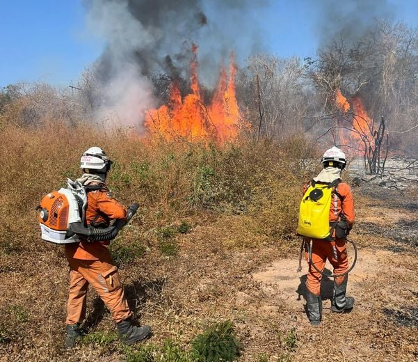 FOGO! Incêndios atingem a BA-160 e bombeiros estão monitorando a área afetada