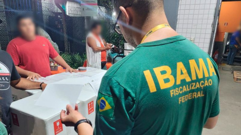 VEJA; Operação no Aeroporto de Salvador combate tráfico internacional de fauna e flora